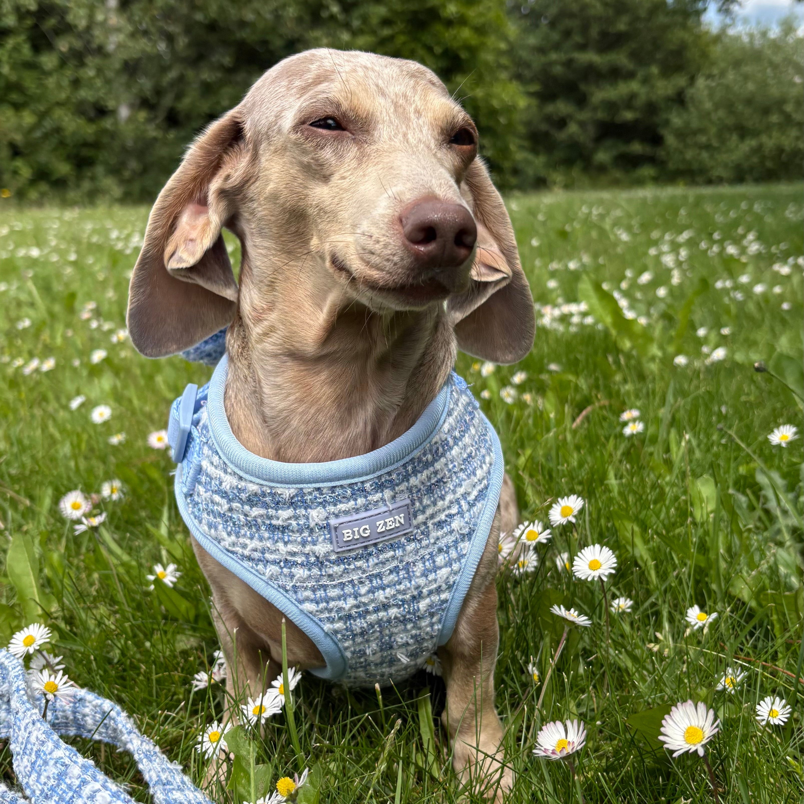 Sky Tweed Harness