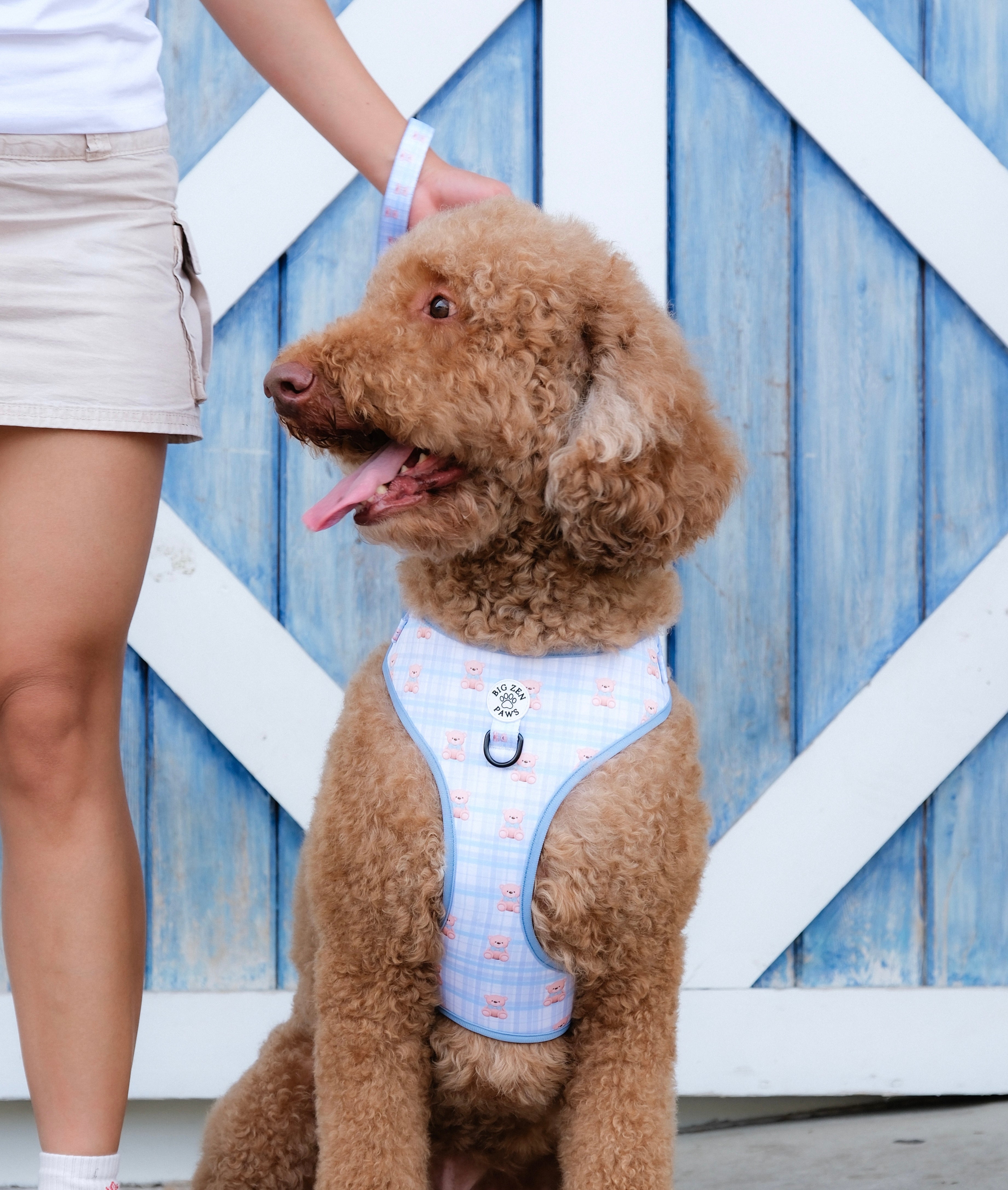 Beary blue harness