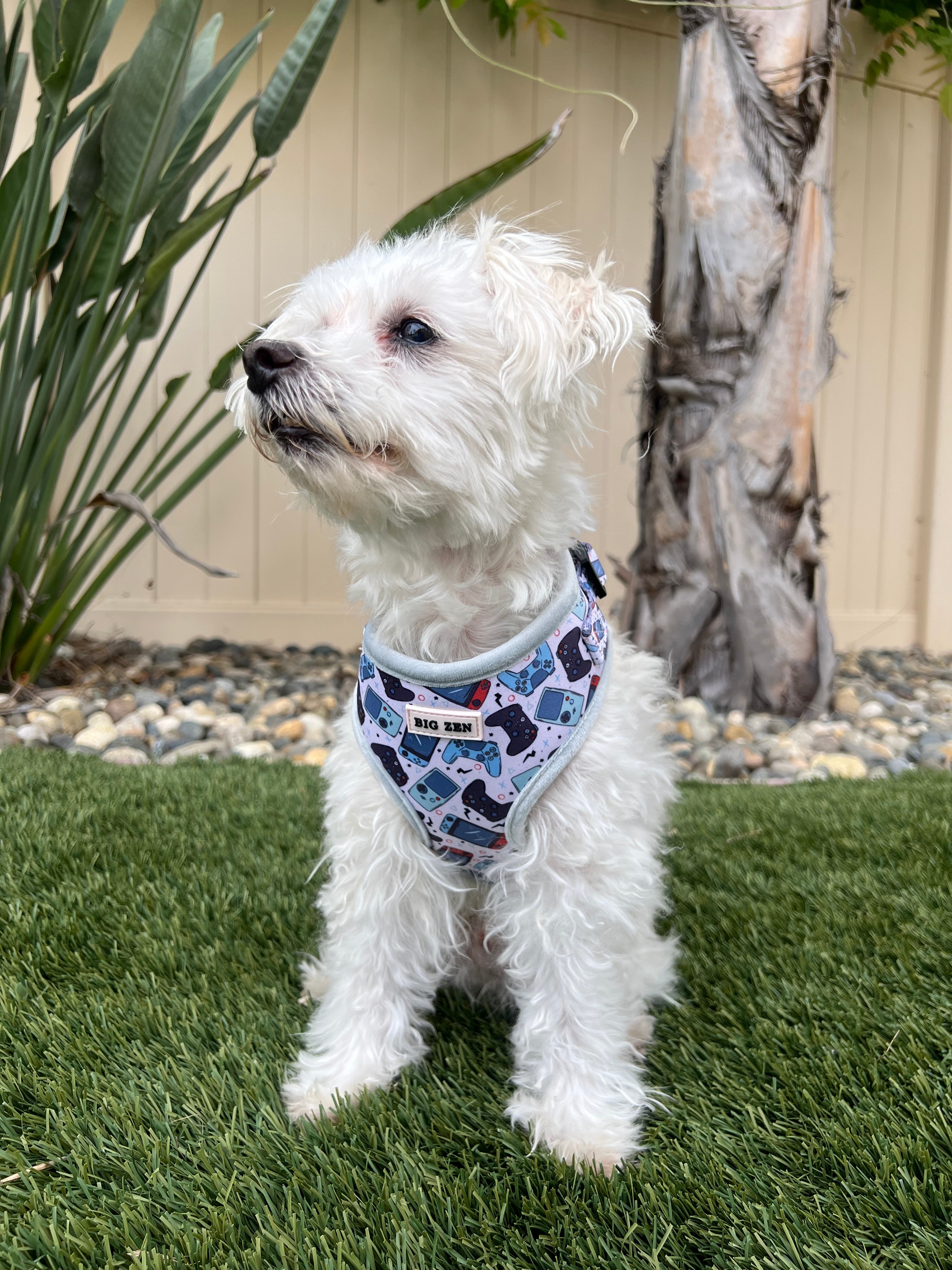Level Up Harness