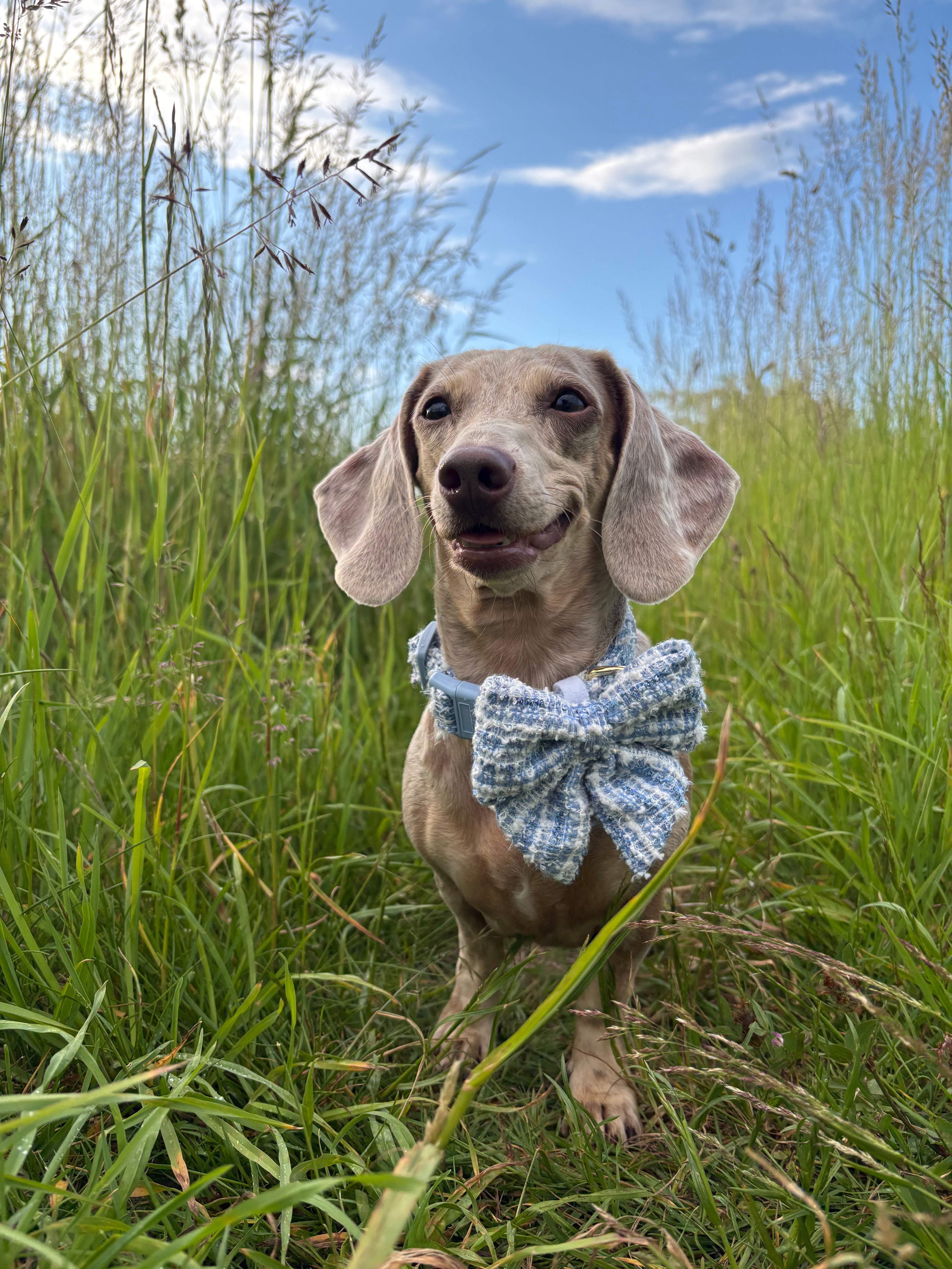 Sky Tweed Sailor Bow