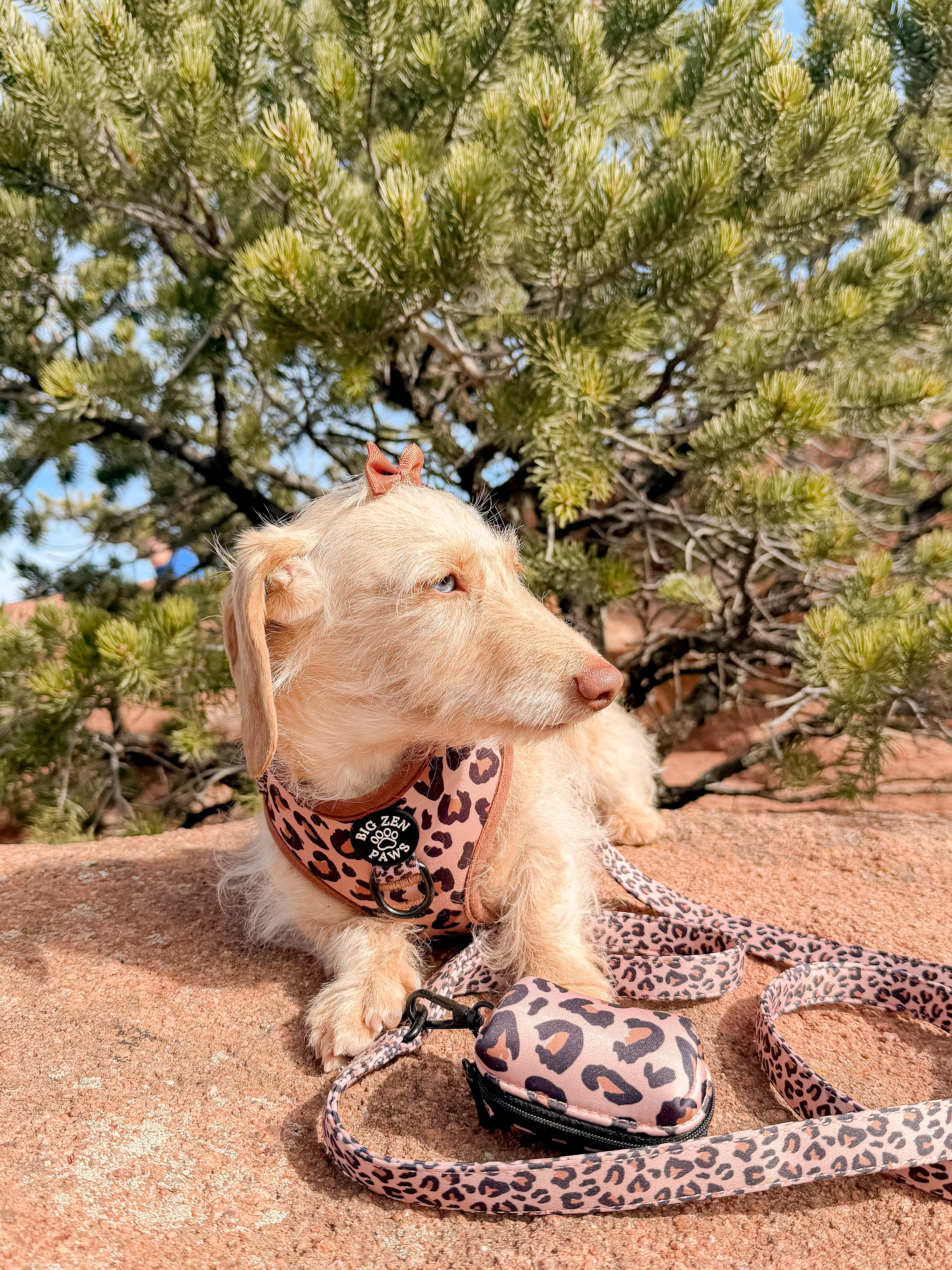 Safari Harness