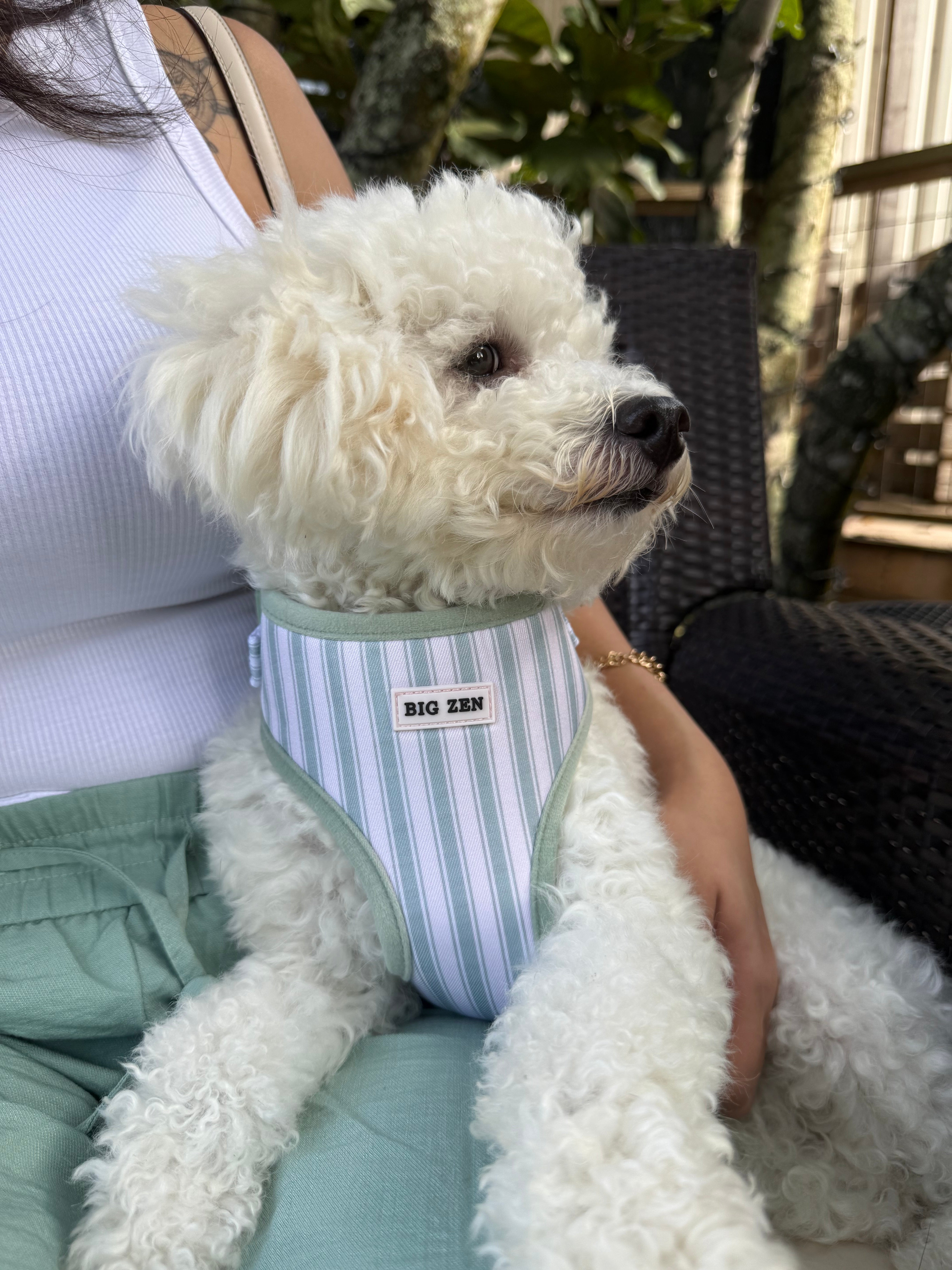 Ivy Stripe Harness