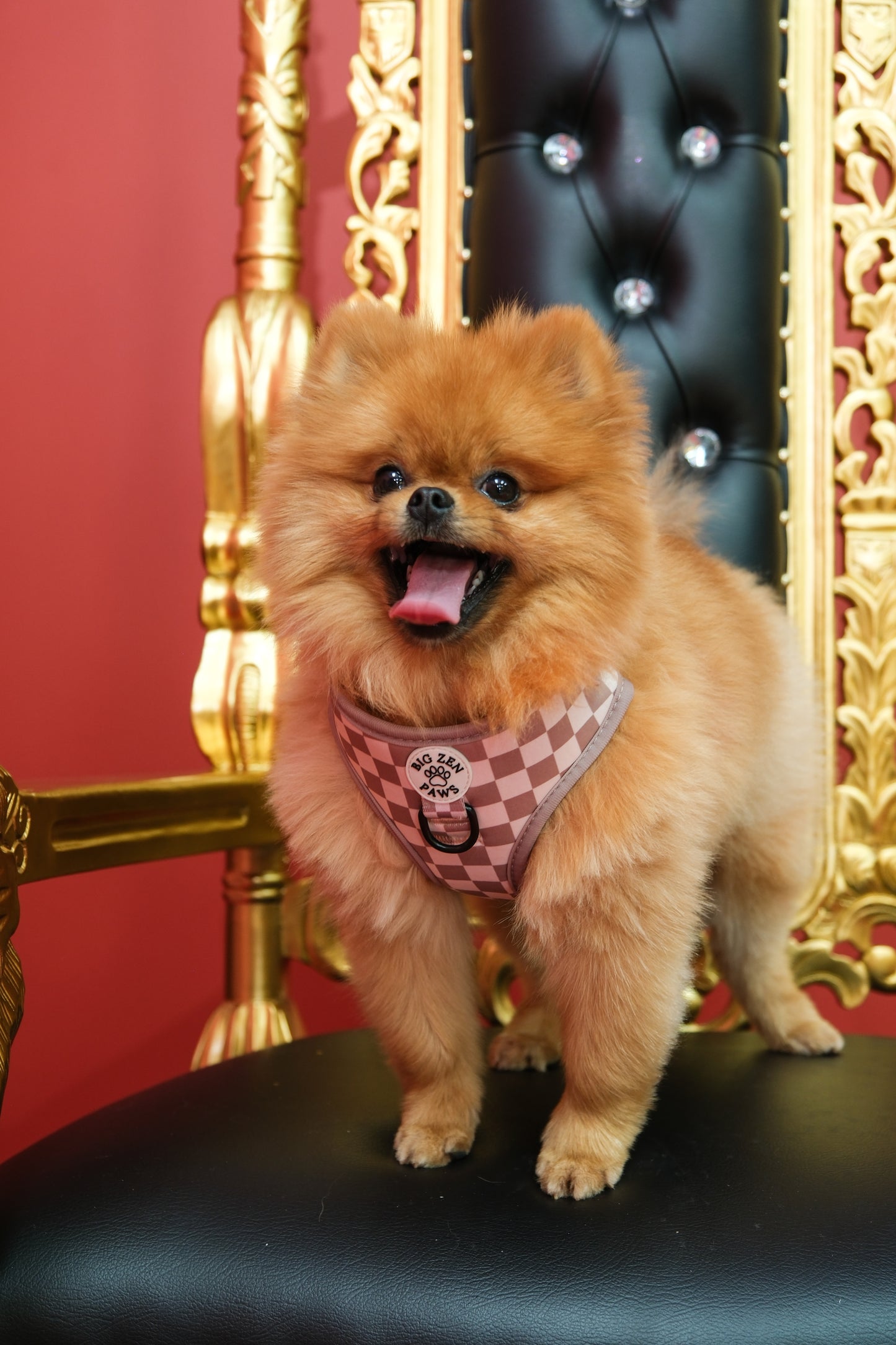 Checkerboard Charm Harness