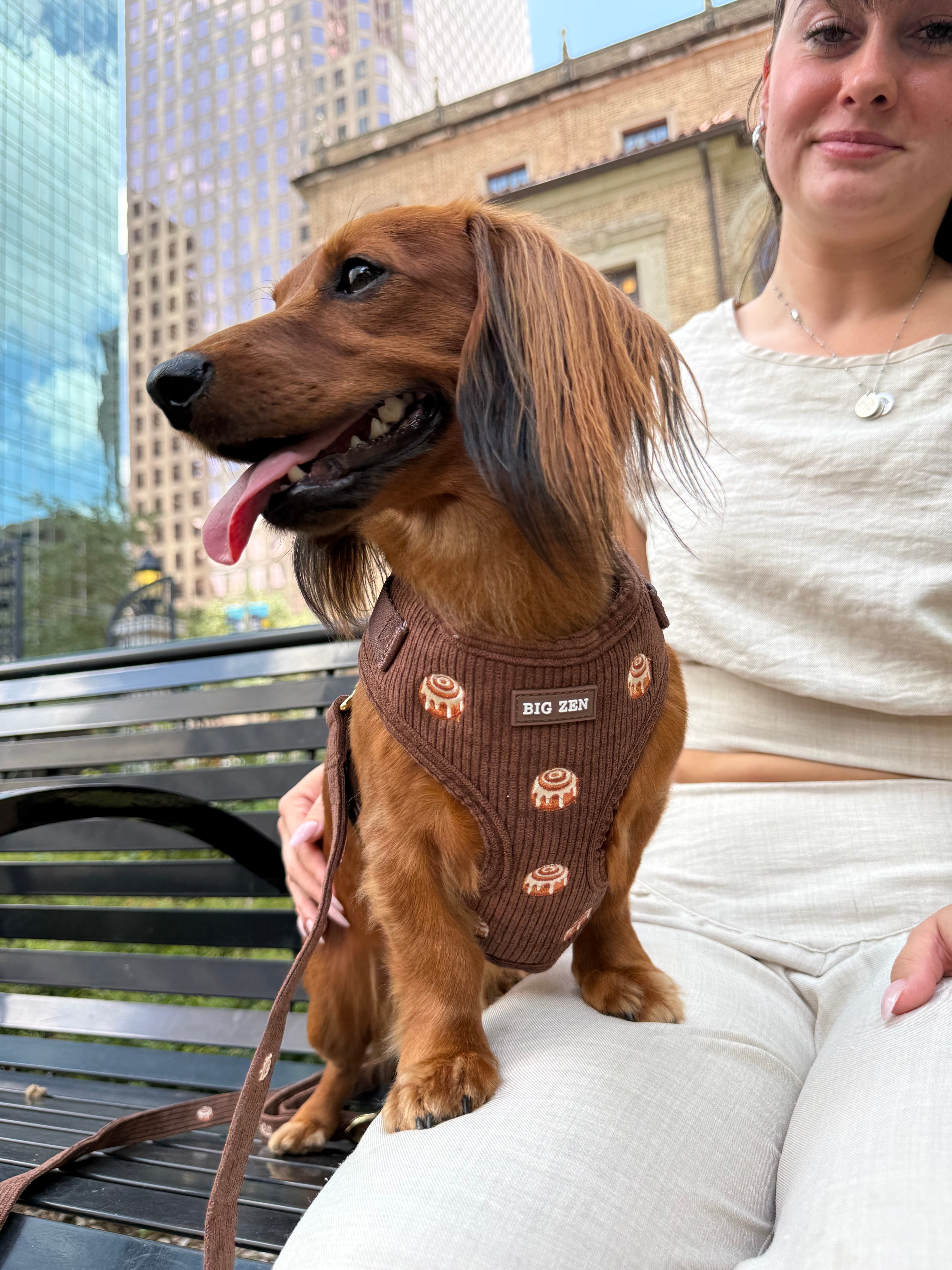 Cinnamon Swirl Harness