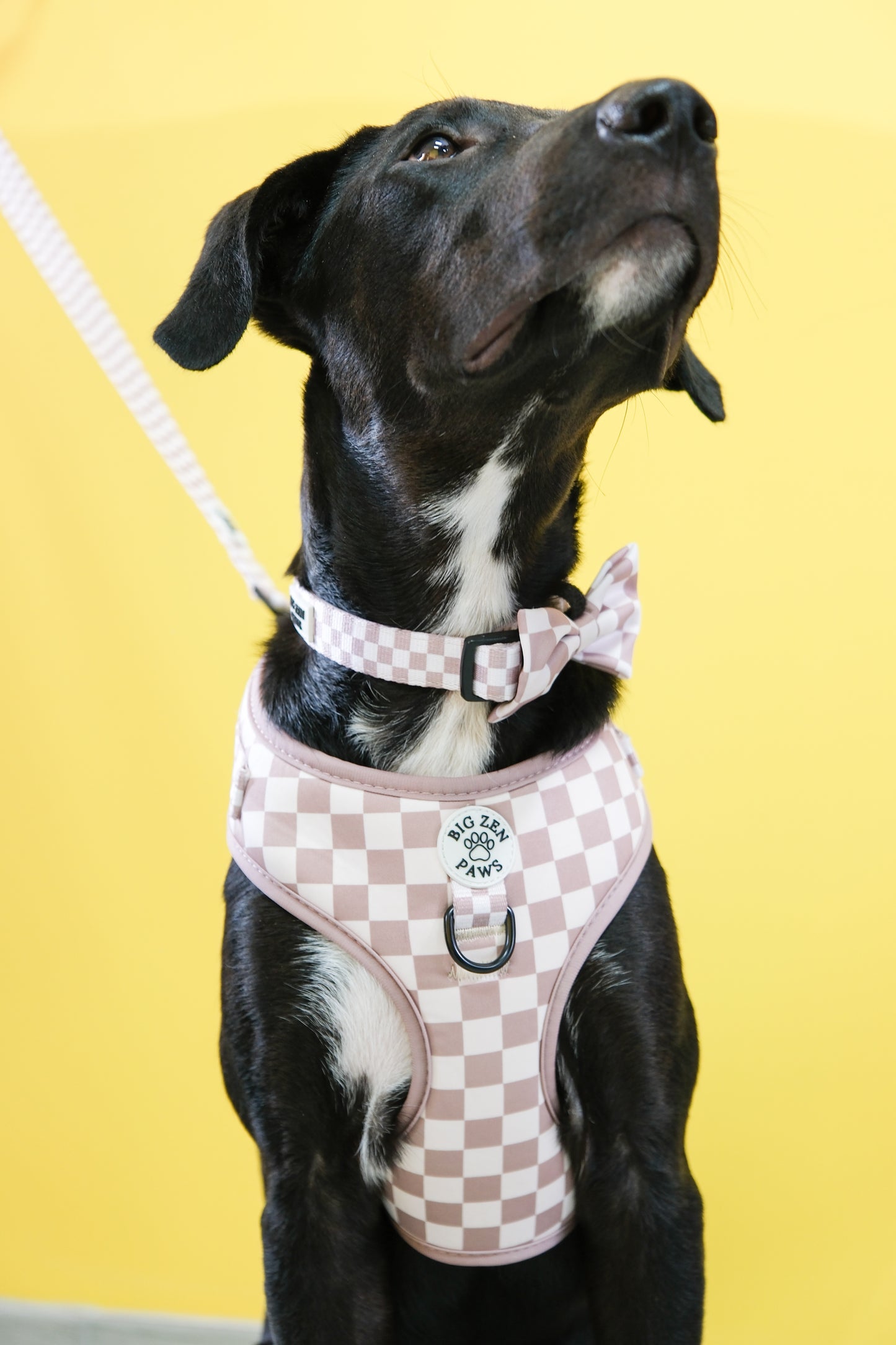 Checkerboard Charm Harness