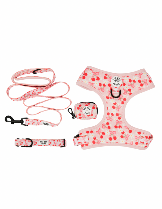 Sakura Harness, Collar, Leash, & Poop Bag Holder bundle