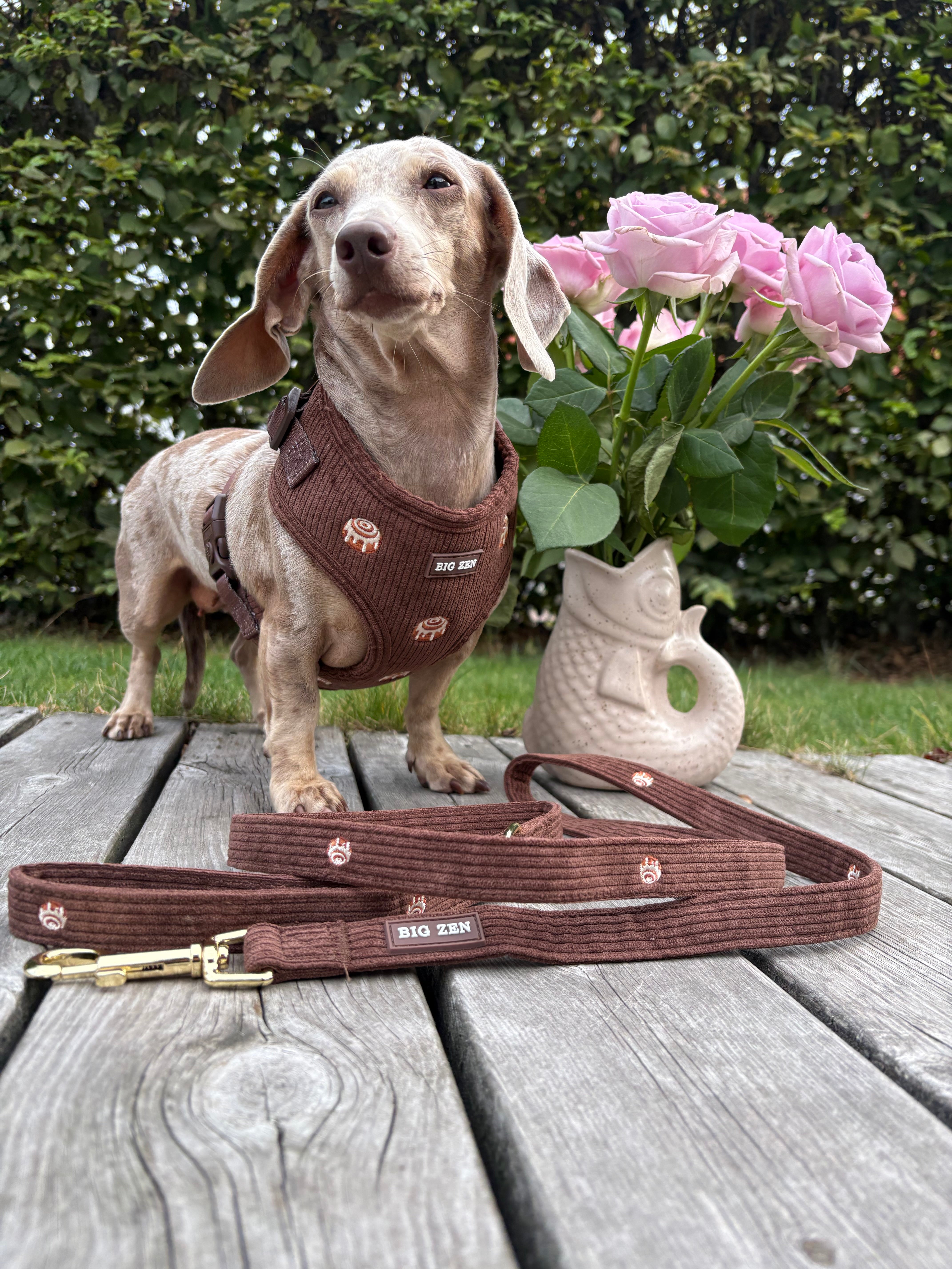 Cinnamon Swirl Harness