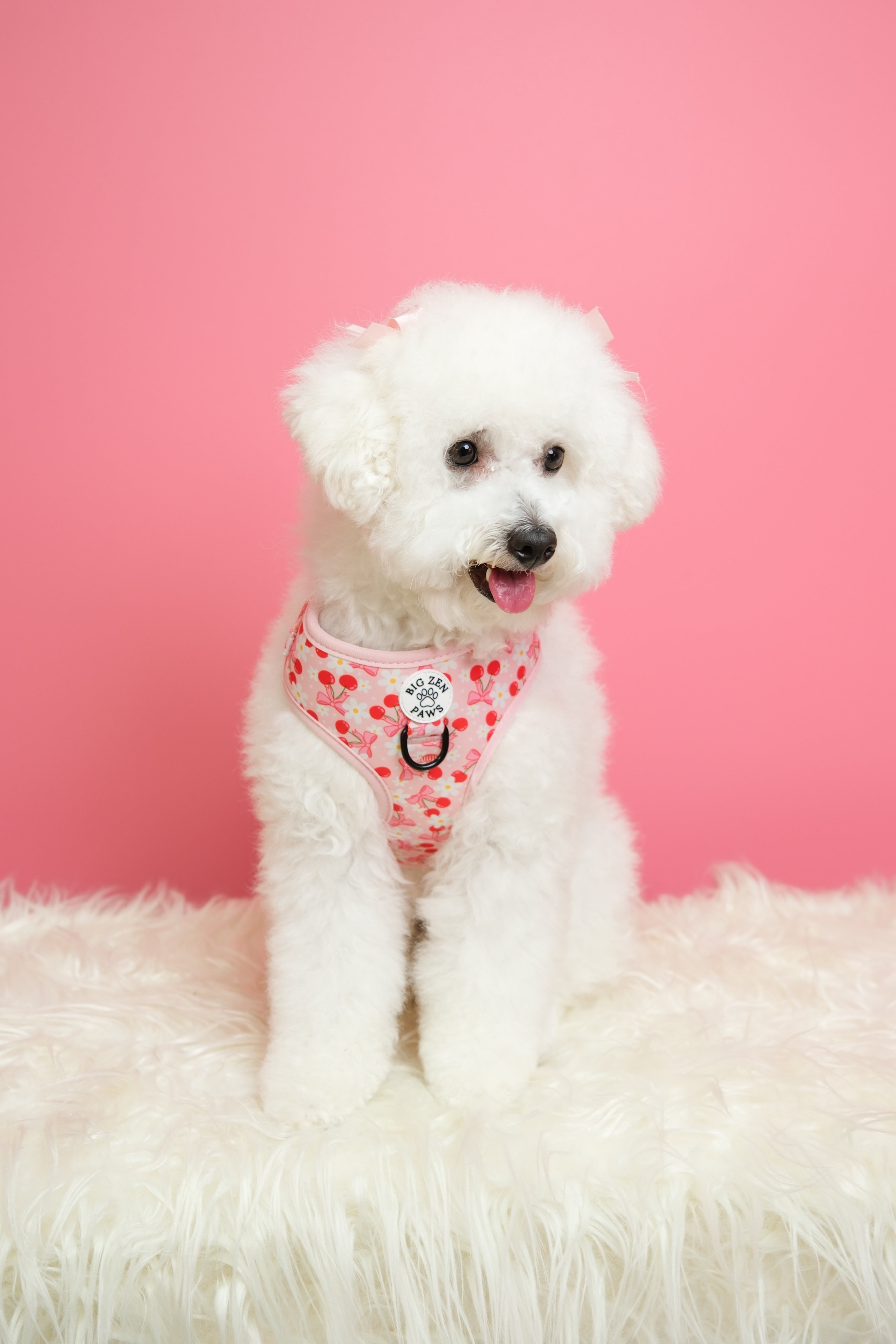 Sakura Harness