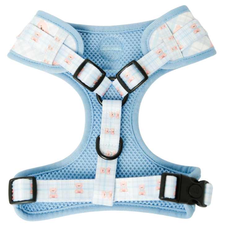 Beary blue harness