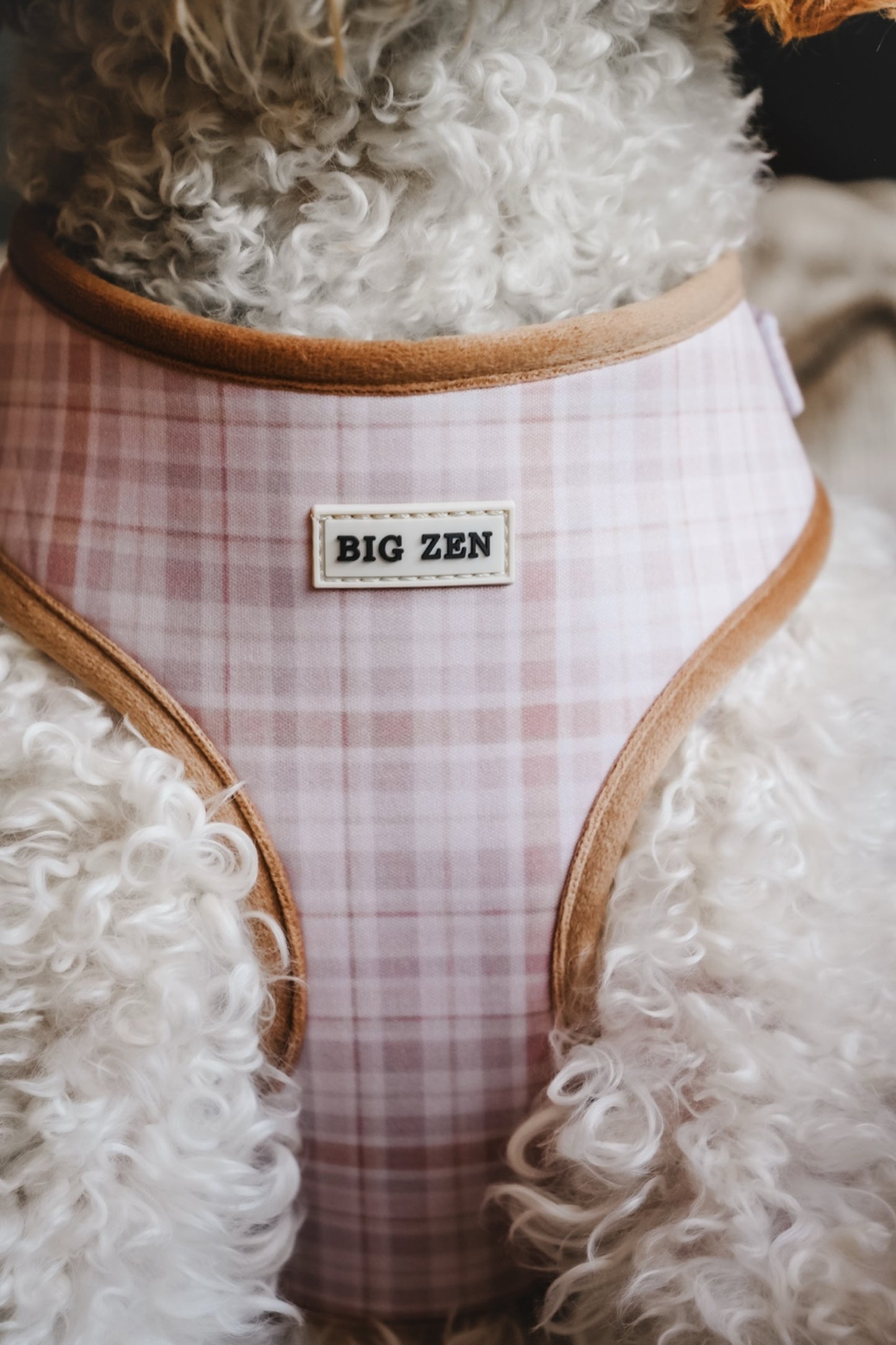 Cloud Foam Latte Harness
