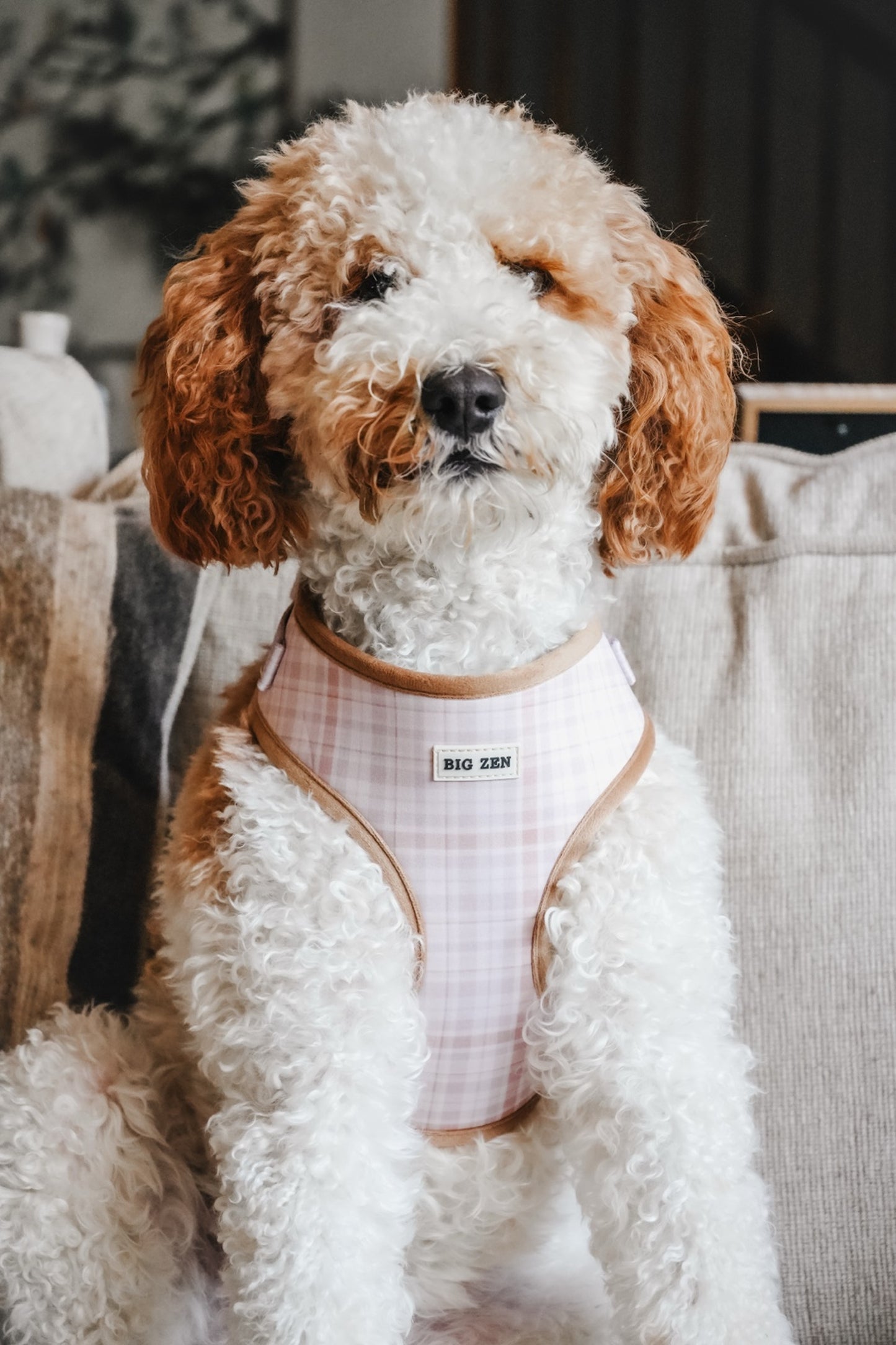 Cloud Foam Latte Harness