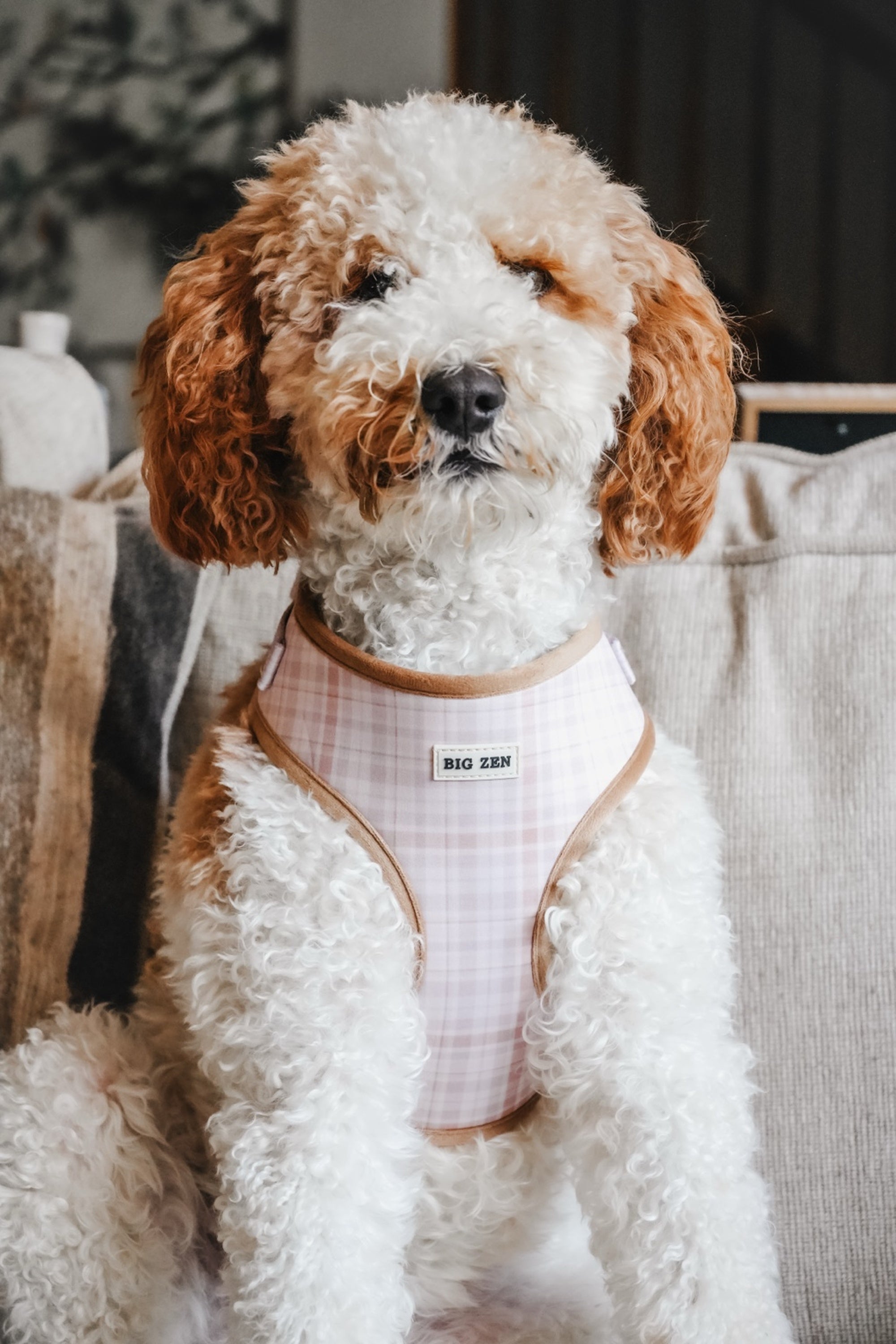 Cloud Foam Latte Harness