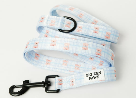 Beary blue leash