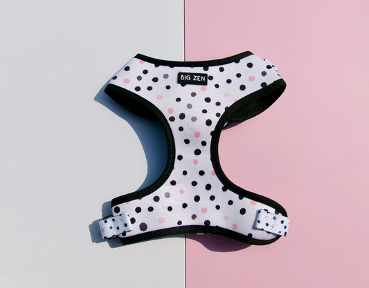 Little Dots Harness