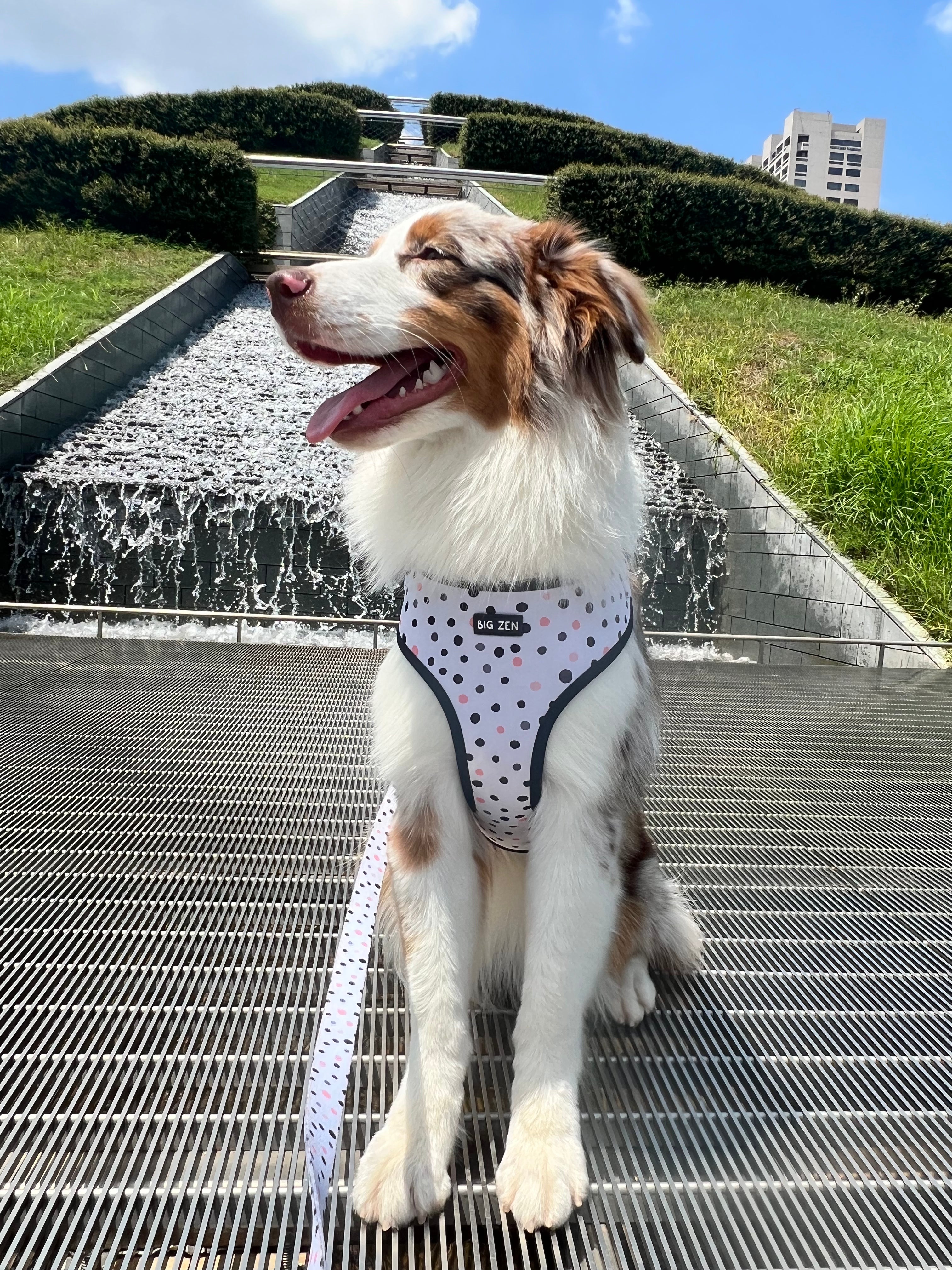 Little Dots Harness