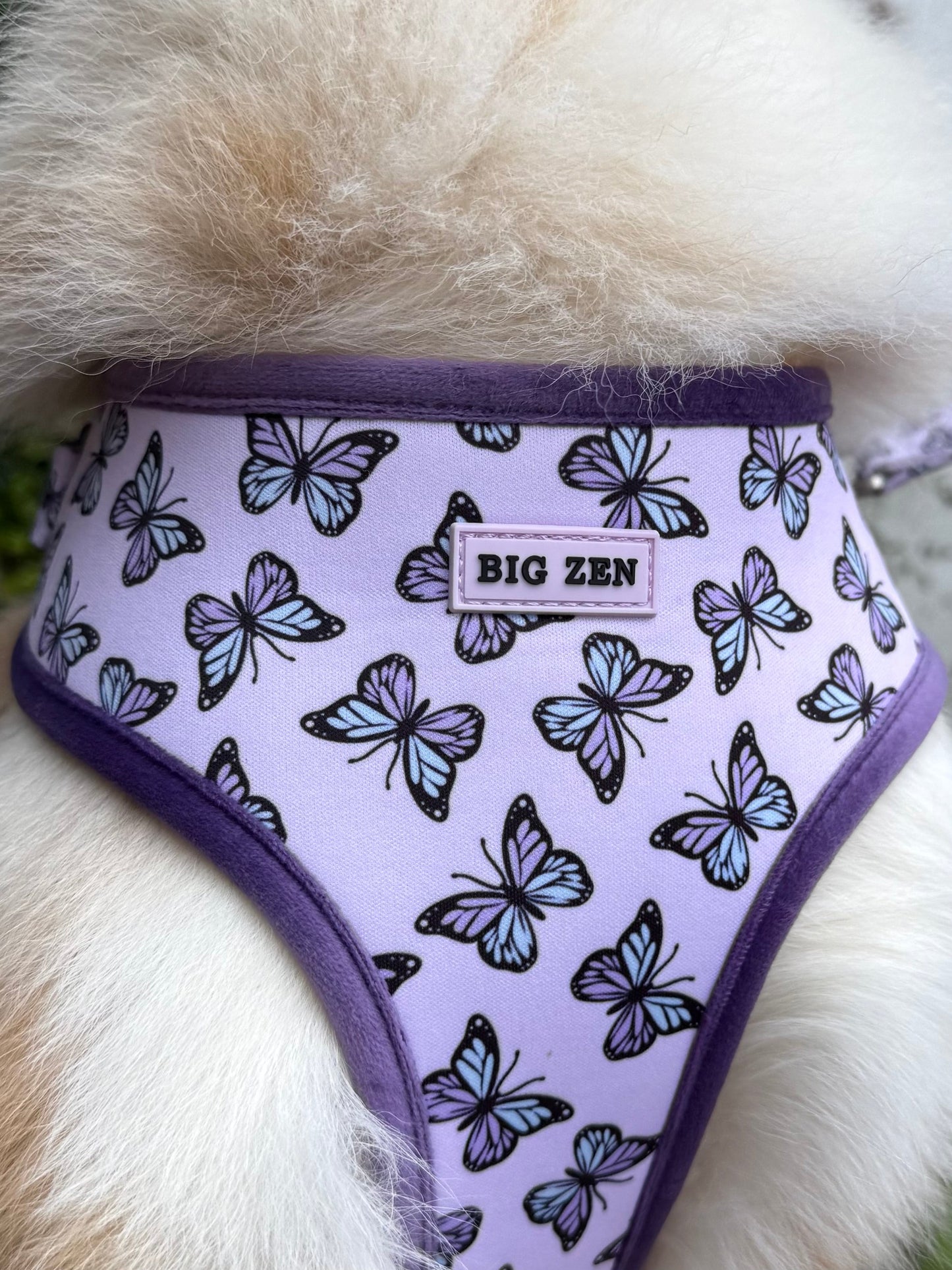 Velvet Wings Harness