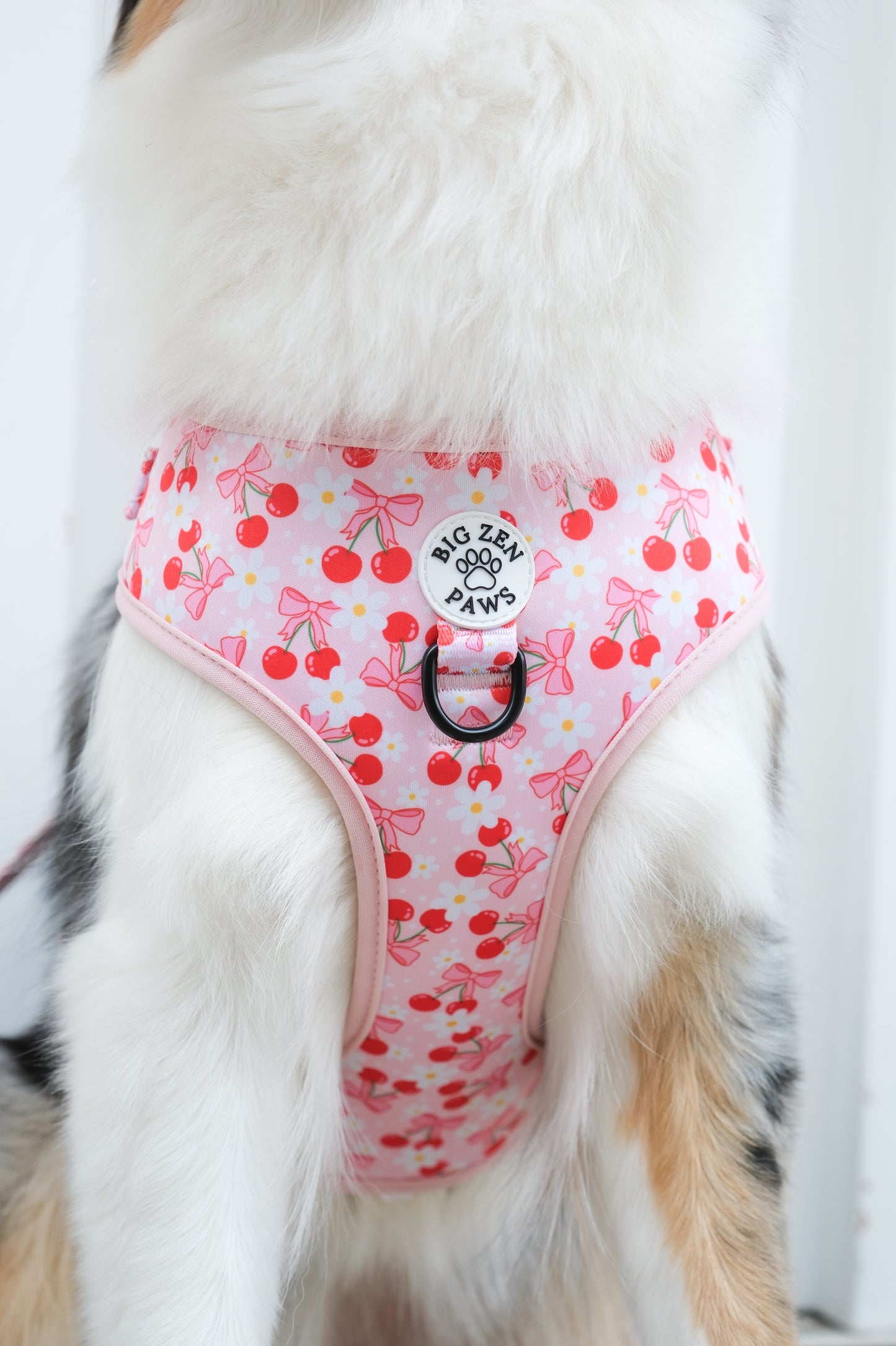 Sakura Harness