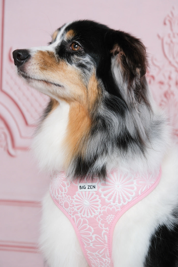 Flower Blossom Harness