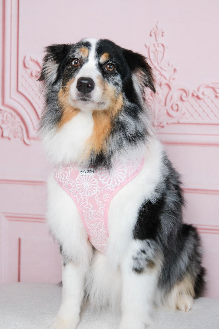 Flower Blossom Harness